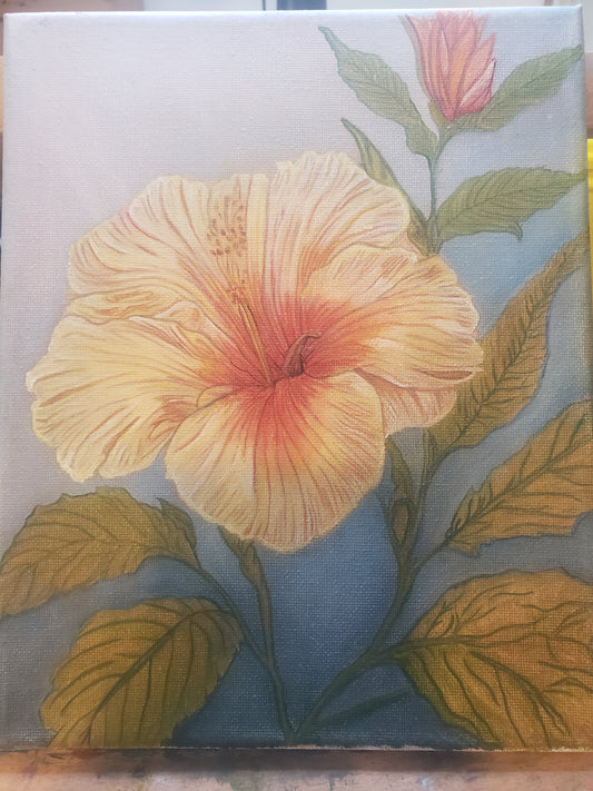 Floral Hibiscus